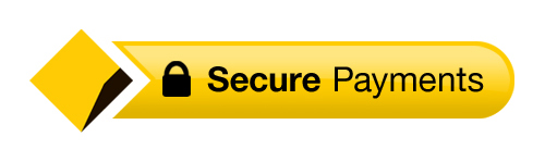 secure icon